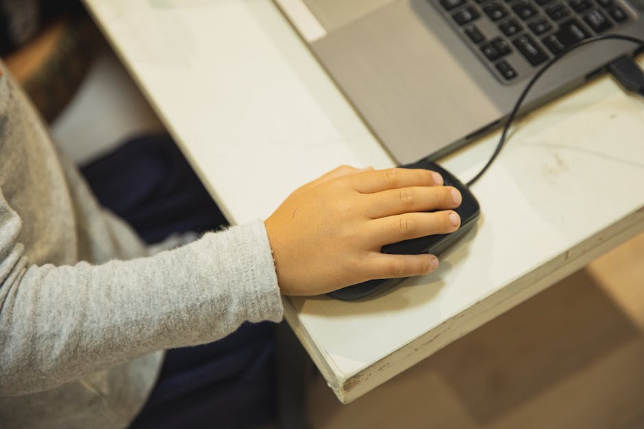 Reliable VPNs with no logs 2026